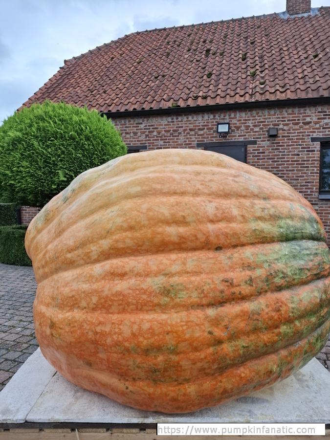 fruitImages/1815.5 Vanheuckelom 2025B.jpg